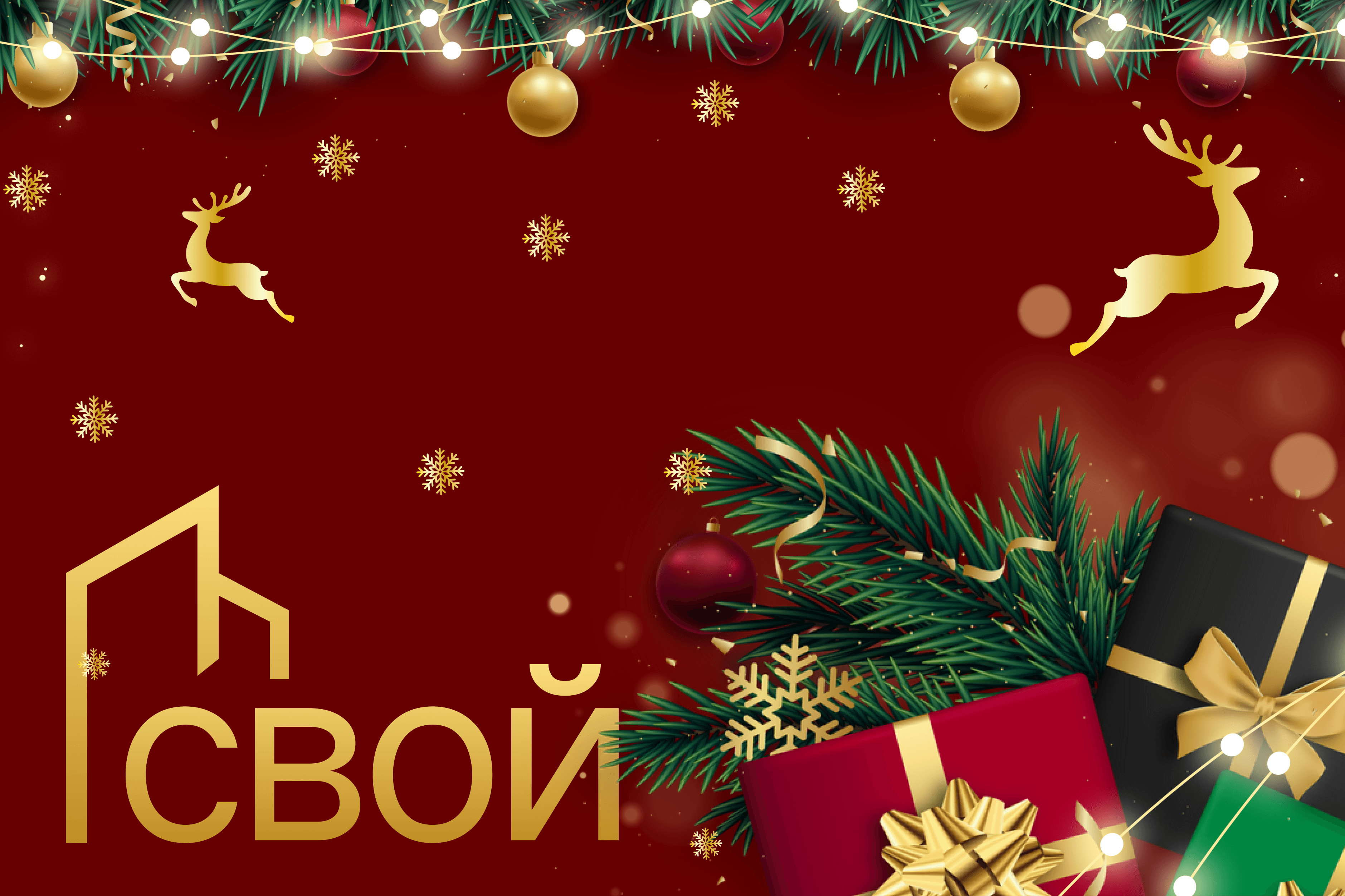 Картинка из новости