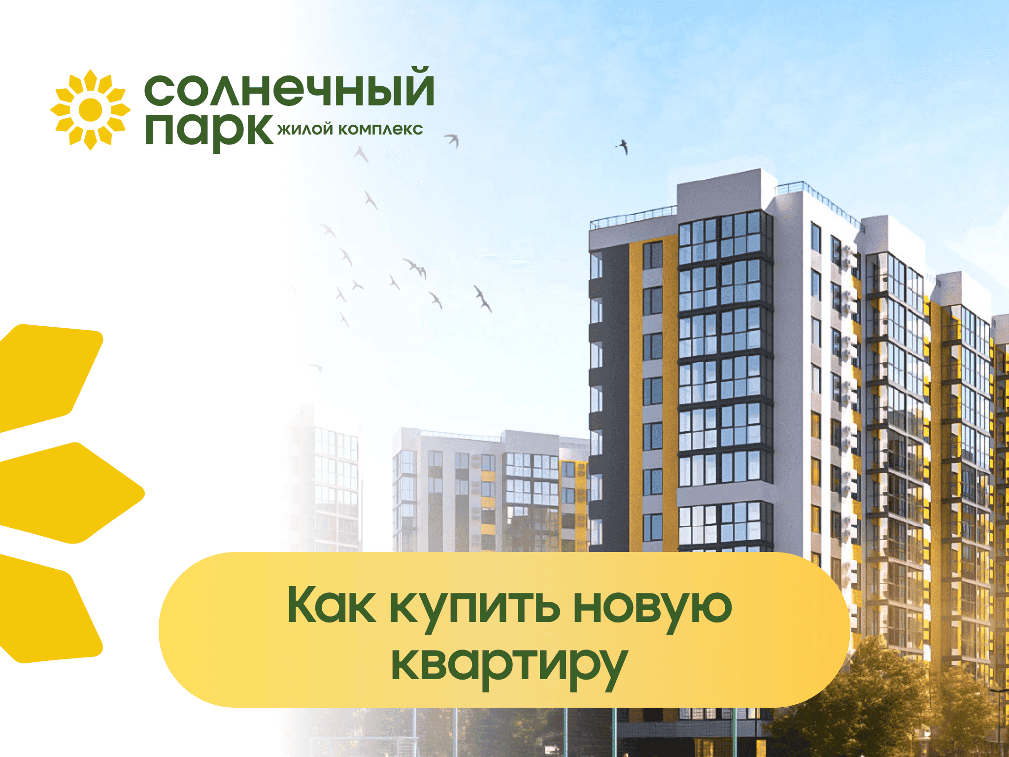 Картинка из новости